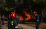 Greek firefighters try to extinguish a wildfire in the area of Porto Germeno, some 70 kilometres (45 miles) northwest of Athens in the region of Viotia, on August 2, 2026. Photo by ANGELOS TZORTZINIS / AFP