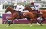 Christophe Soumillon guides Alkrar to win Al Rayyan Cup.