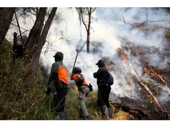 FILE PHOTO: Joint forces battle a fire at Bromo Tengger Semeru National Park, Probolinggo Regency, East Java, Indonesia. (Photo by Bayu Novanta/Xinhua)