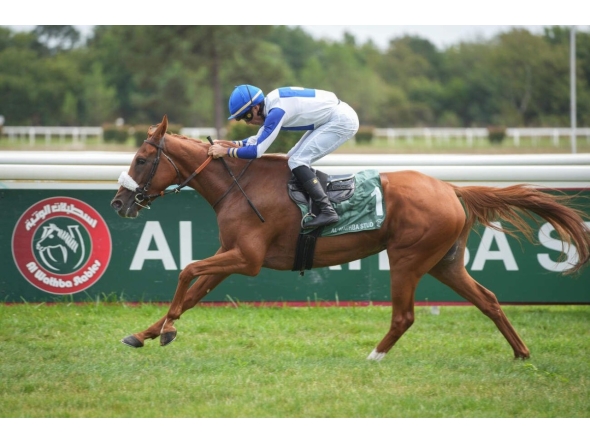 Jockey Alexandre Gavilan guides Fakhira towards the finish line. 