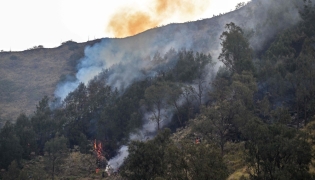 Volunteers battle a wildfire in the Bromo Tengger Semeru National Park near Mount Bromo in Pasuruan, East Java province on August 10, 2026. (Photo by JUNI KRISWANTO / AFP)