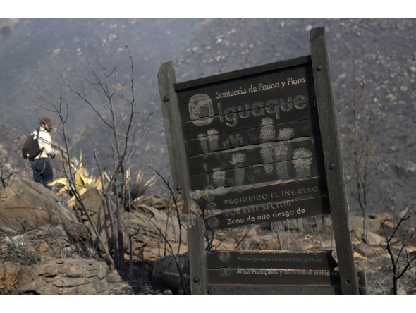 A sign for the Iguaque Fauna and Flora Sanctuary stands amid burned vegetation on San Marcos Hill following a forest fire in the municipality of Villa de Leyva, Boyaca department, Colombia, on September 20, 2026. (Photo by LUIS LIZARAZO / AFP)