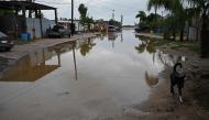 A dog walks down a flooded street following the arrival of Hurricane Polo in the town of Puerto San Carlos, Baja California Sur, Mexico, on September 29, 2026. (Photo by Carl de Souza / AFP)