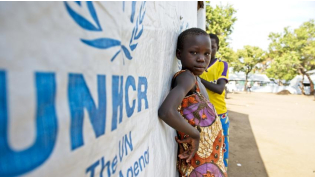 Picture: UN Website