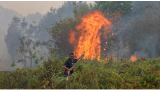 A firefighter extinguishing a fire at Sungai Tabuk village in Indonesia's Kalimantan Province on October 16 © MUDA SAGALA / AFP