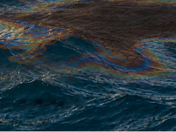 Pictures shared by the Ministry of Climate Change and Environment - UAE
