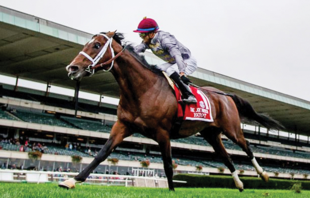 Jockey Jose Ortiz astride Al Shaqab Racing owned Ectot cruises towards victory during the  Joe Hirsch Turf Classic (Gr1) at Belmont Park on Saturday. 