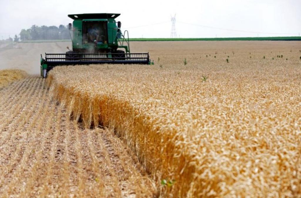 A combine drives over stalks of soft red winter wheat during the harvest on a farm in Dixon, Illinois, July 16, 2013. REUTERS/Jim Young/File Photo