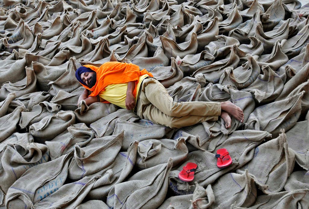 A farmer rests upon sacks filled with paddy at a wholesale grain market in Chandigarh, India, October 16, 2016. Reuters/Ajay Verma 