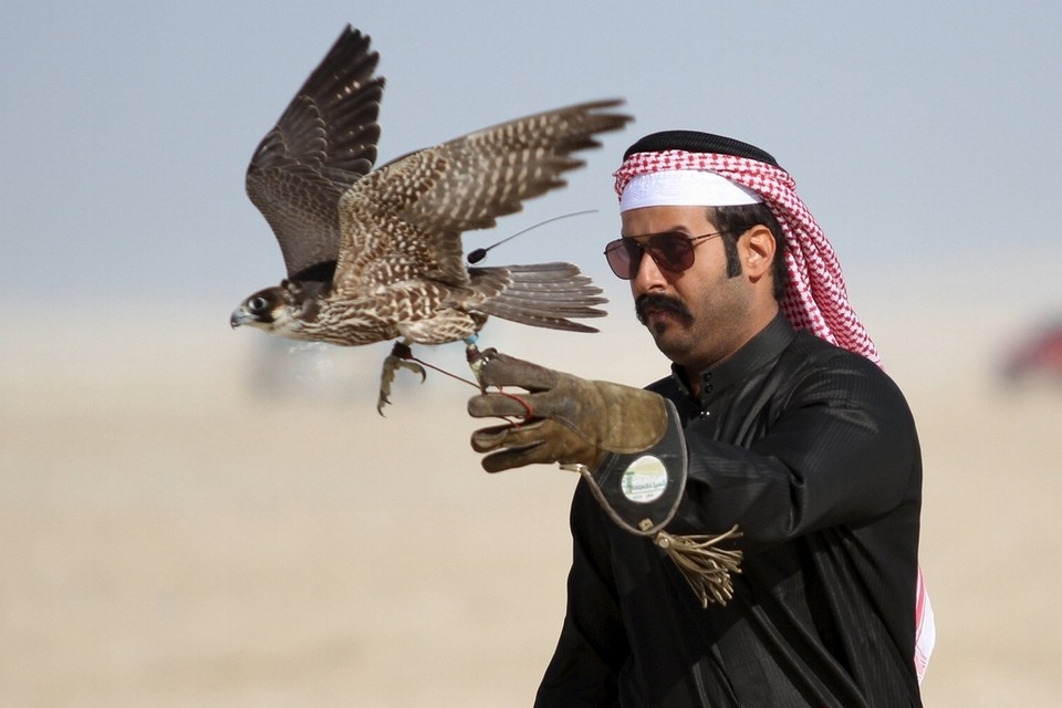 A falconer releases his falcon during a falcon contest at Qatar International Falcons and Hunting Festival at Sealine desert, Qatar. (Naseem Zeitoon / Reuters)




