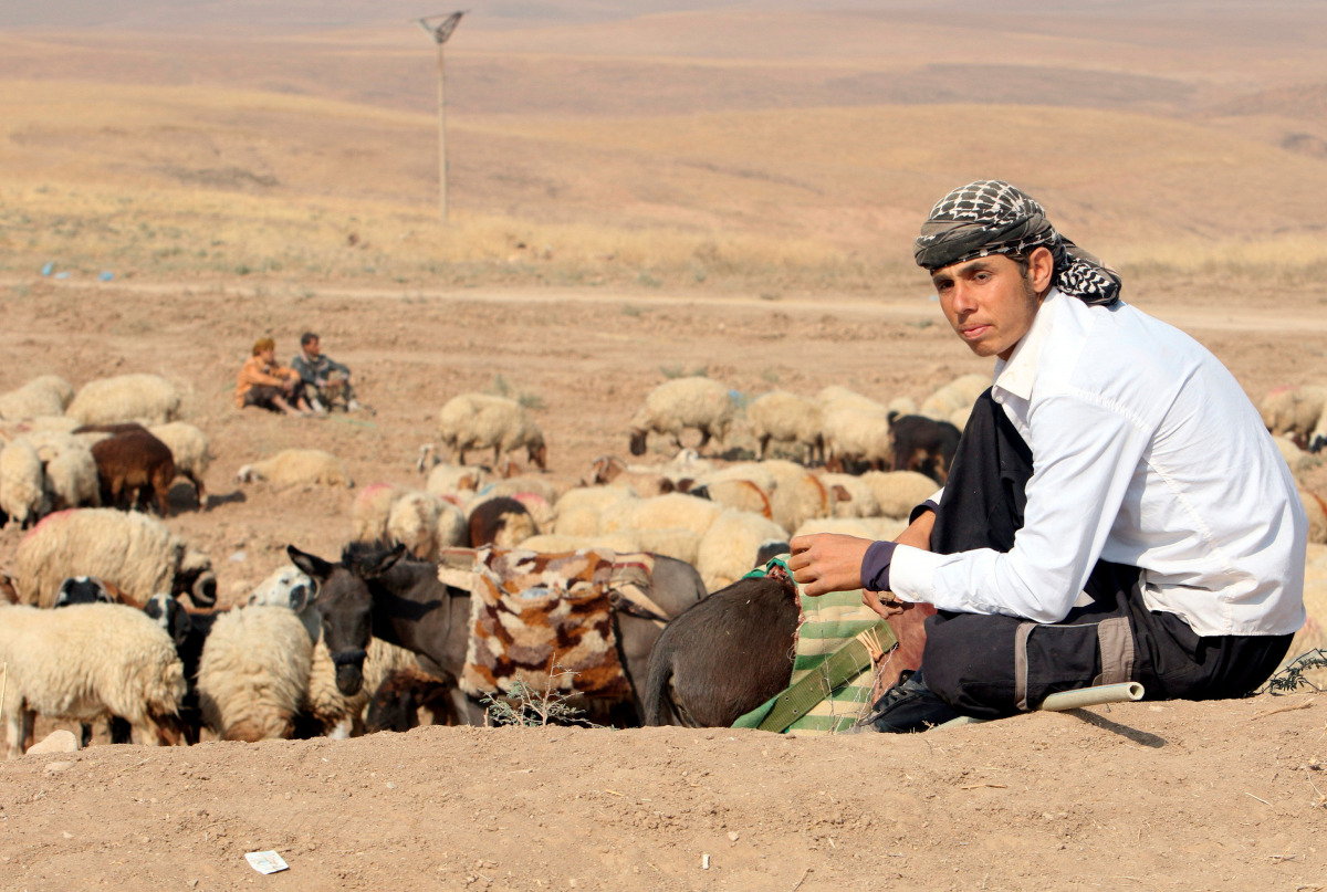 Shepherds are seen in Nawaran north of Mosul during an operation to attack Islamic State militants, Iraq October 26, 2016. (REUTERS/Ari Jalal)