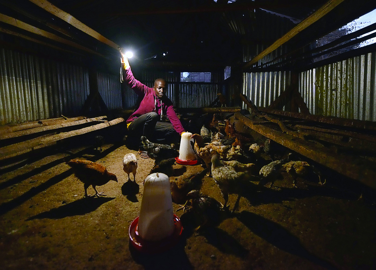 A man uses a solar-powered flashlight to tend to his chicken at kwa-Mutisya in Machakos county, some 100km southeast of Nairobi.  Consumers are opting for off-grid solar solutions to power homes and small businesses even as African governments unveil mass