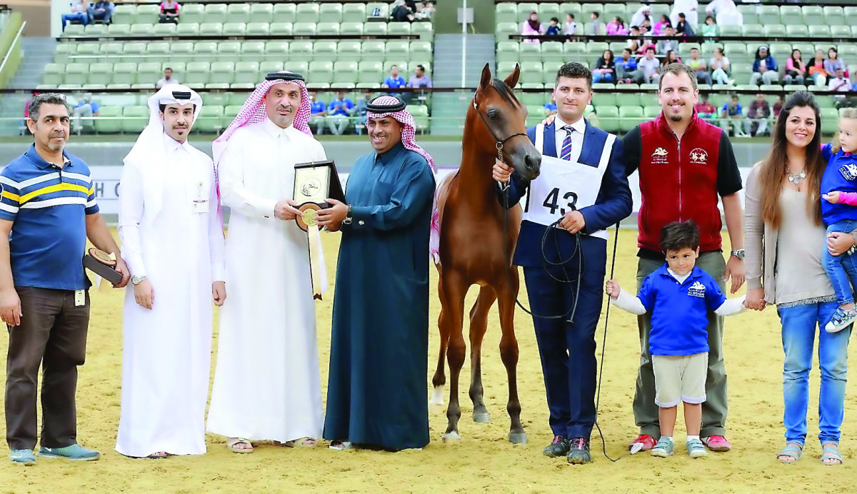 Representatives of Theeb Al Shaqab, podium winner of Class 2 Colts Foals at the Qatar National Arabian Horse Show, receiving the trophy from officials.