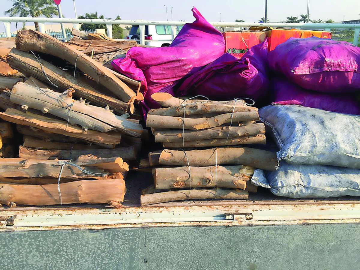 A pick-up loaded with olive and other firewood for winter campers in Al Murra suburb.