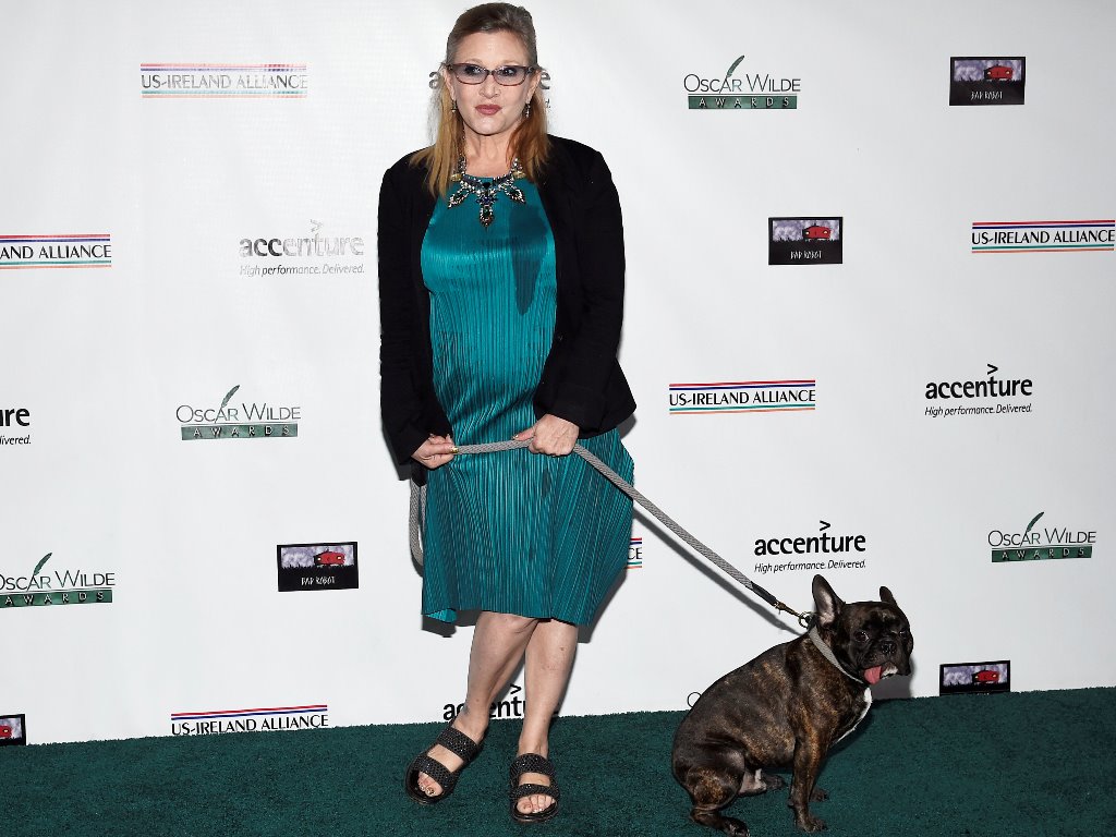 Honoree Carrie Fisher and her dog Gary pose at the Oscar Wilde Awards at director JJ Abrams' Bad Robot production company in Santa Monica, California February 19, 2015. REUTERS/Kevork Djansezian/File Photo