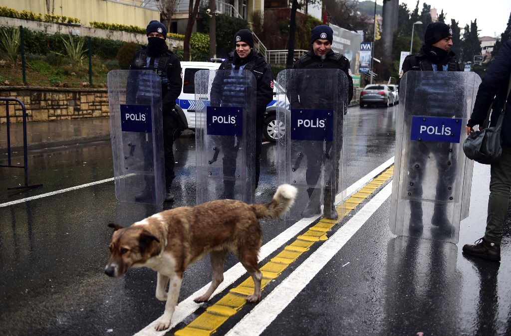 A stray dog walks past Turkish police officer blocking the road close to the site of an armed attack near the Reina night club, one of the Istanbul's most exclusive party spots, early on January 1, 2017 after at least one gunmen went on a shooting rampage