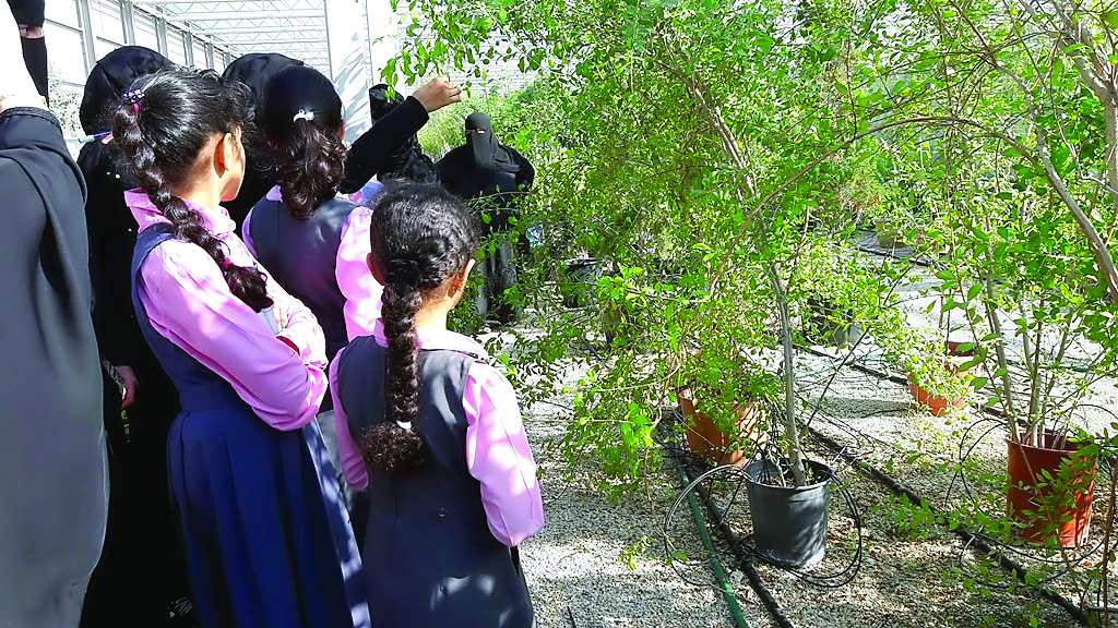 Students visit the Qur’anic Botanic Garden Nursery and (Below) students carry out educational experiments as part of a Qur’anic Botanic Garden indoor workshop.
