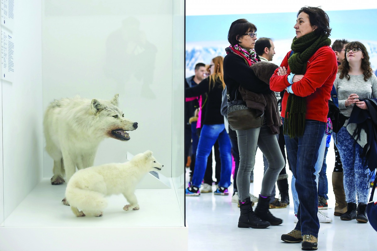 People visit the Paul Emile Victor museum on February 23, 2017 in the French eastern village of Premanon. The museum, which opened on February 18, 2017, is the first permanent museum devoted to the Arctic and Antarctic regions, according to Anthony Renou,