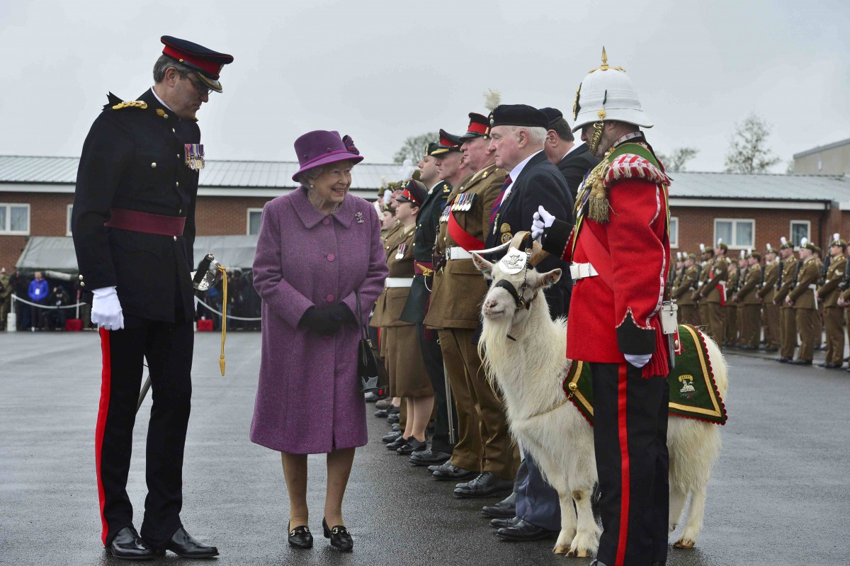 Britain's Queen Elizabeth reviews members of The Royal Welsh Regimental Family and one of two regimental goats at Lucknow Barracks during a visit to mark St David's Day, in Tidworth, Britain March 3, 2017. REUTERS/Ben Birchall