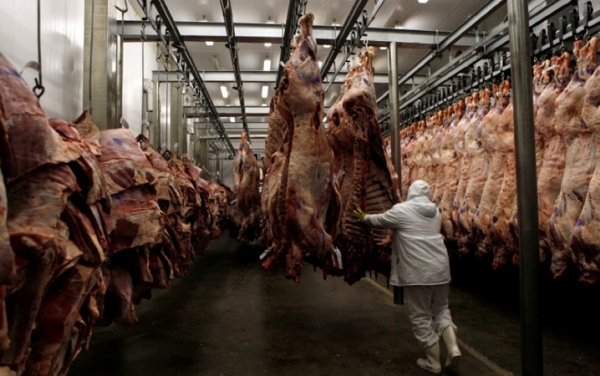 This image of a worker arranging slaughtered cattle in the freezing room,  in the Marfrig Group slaughter house in Promissao, 500 km northwest of Sao Paulo, taken on October 7, 2011, is used for graphical purpose only. (REUTERS/Paulo Whitaker) 