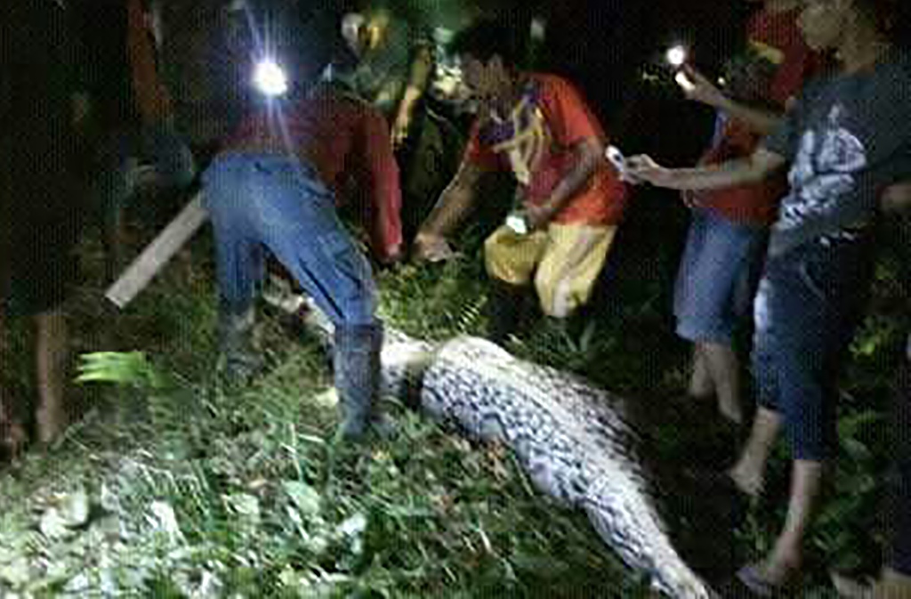 This photo taken on March 27, 2017 shows the body of 25-year-old Akbar who was found when local people cut open the seven metre python after it was found bloated and slithering awkwardly in the village of Salubiro, on the eastern island of Sulawesi.  AFP 