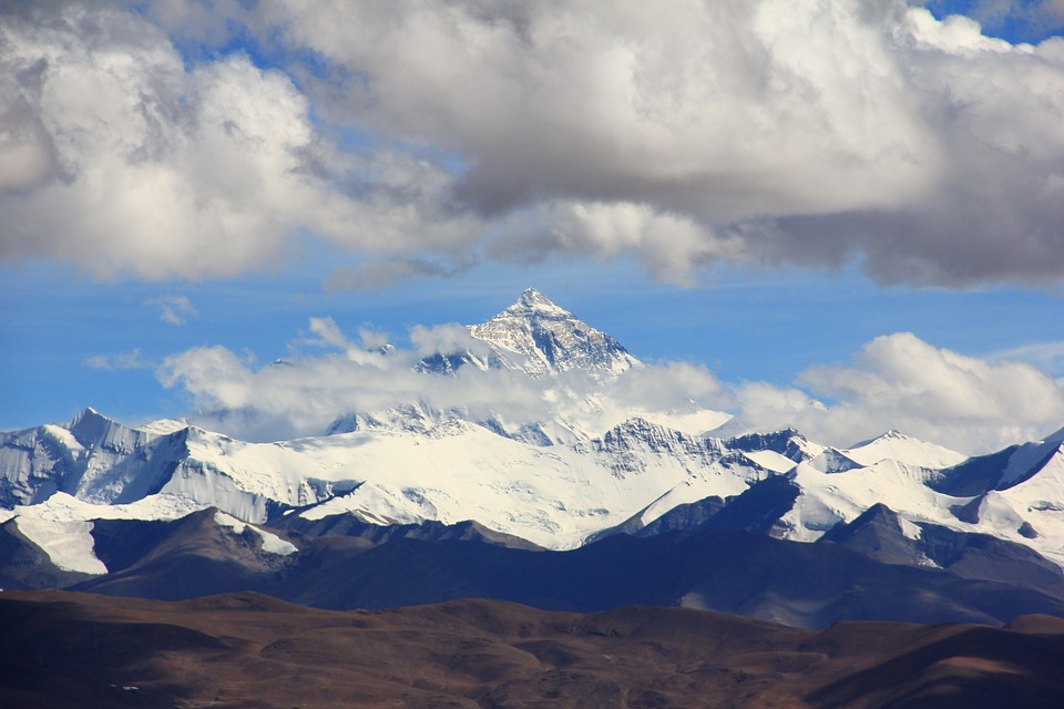 Image used for representation. 