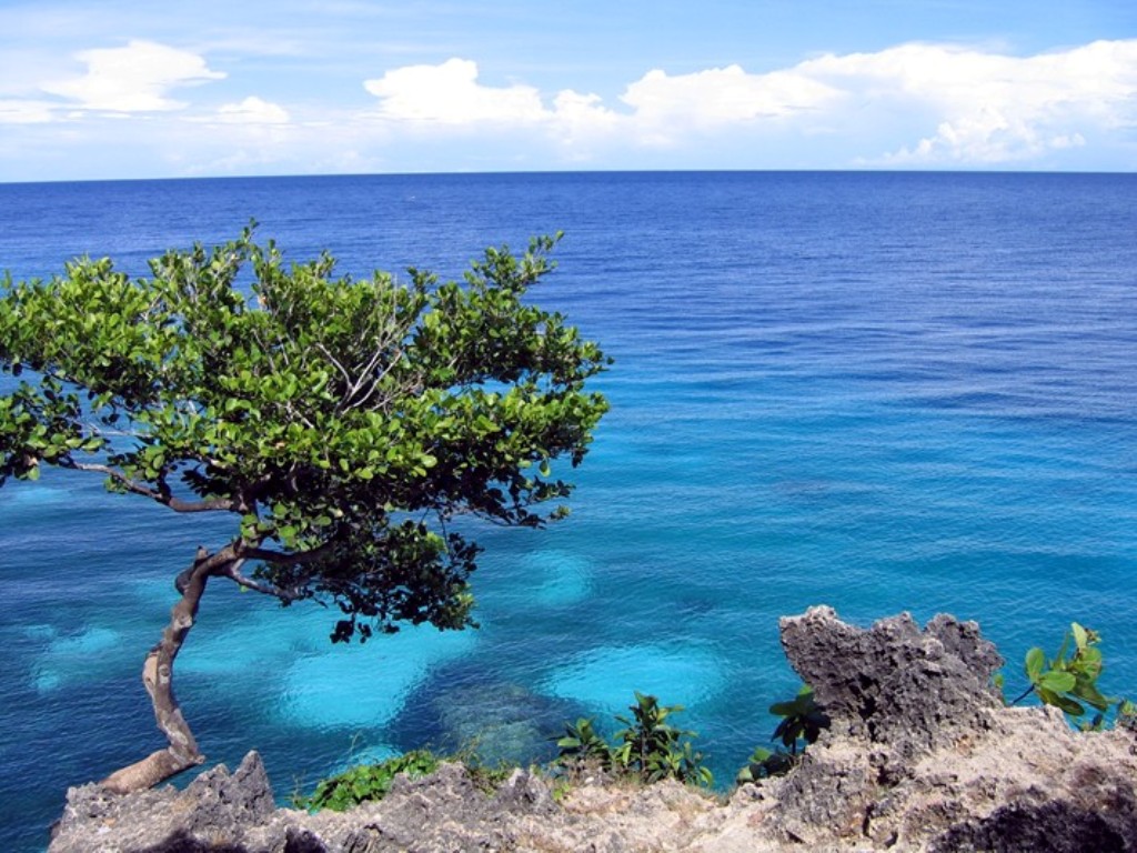 Bohol Sea