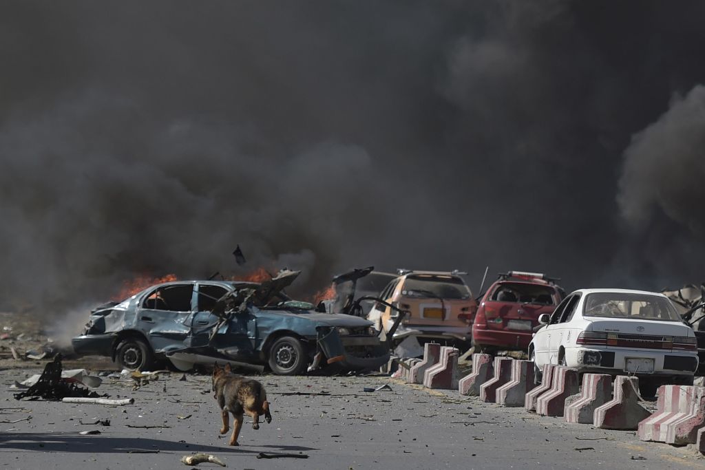 A dog is seen running at the site of a car bomb attack in Kabul on May 31, 2017.  AFP / SHAH MARAI
