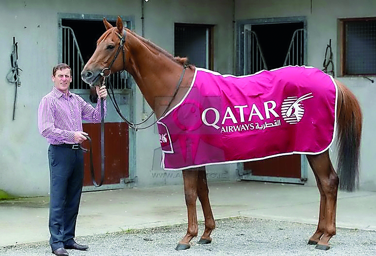 Through the Irish and Qatari affinity for horses, Qatar Airways is now drawing together the cultural heritage of both nations. 
