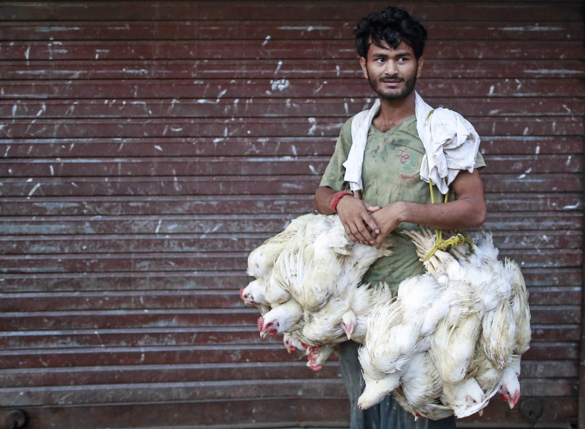 Farms supplying India’s biggest poultry-meat companies routinely use medicines classified by the World Health Organization as “critically important” as a way of staving off disease, an investigation by Bloomberg News showed last year. The latest research,