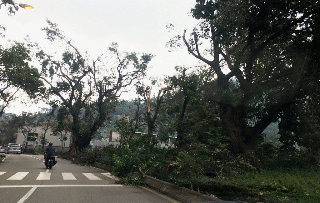 Fallen trees and debris are seen on a road following Typhoon Hato in Macau, China, August 24, 2017 in this picture obtained from social media. / Reuters.
