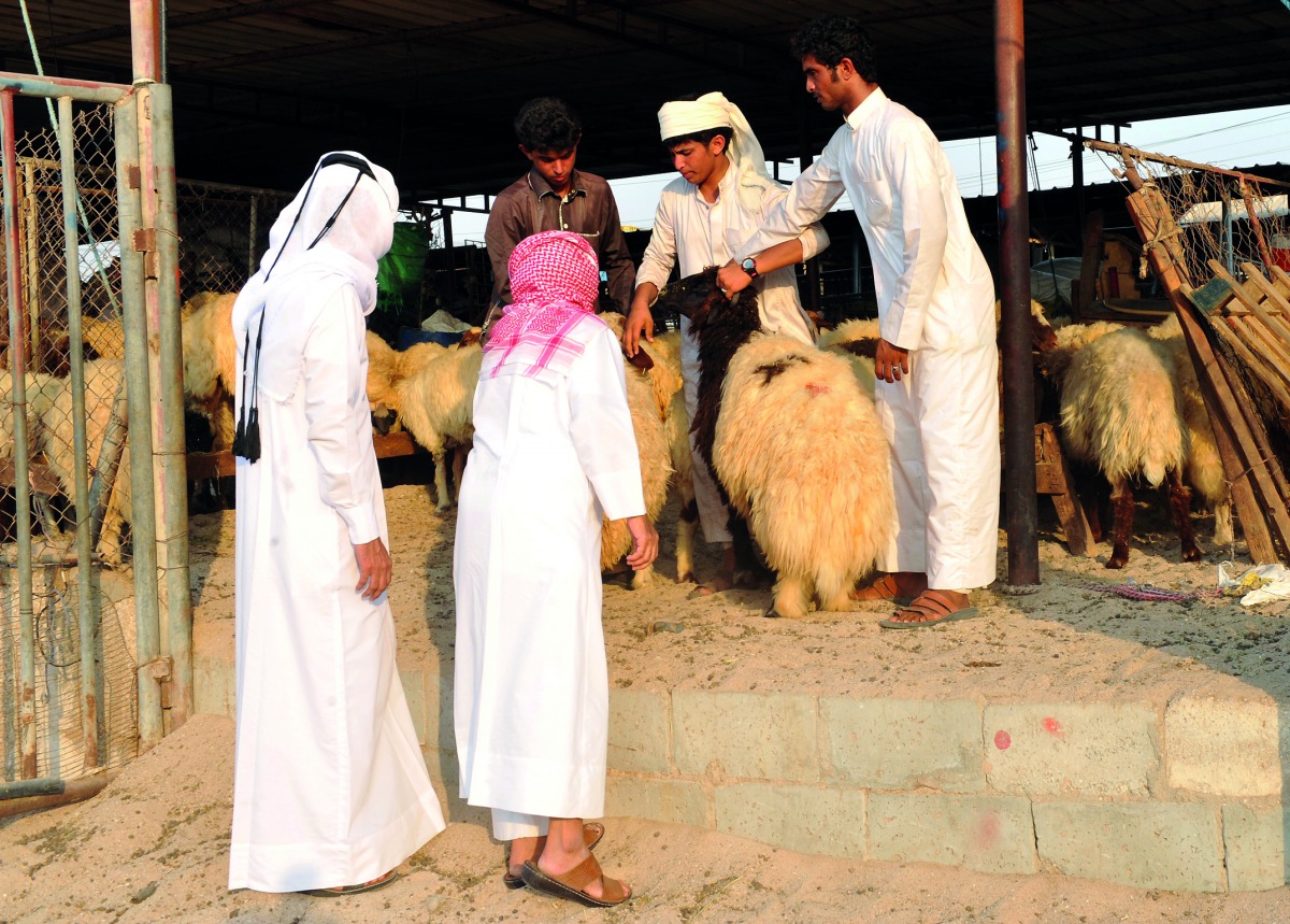 Customers buy sheep at the market ahead of Eid Al Adha festival in Doha yesterday. Pic: Kammutty V P / The Peninsula