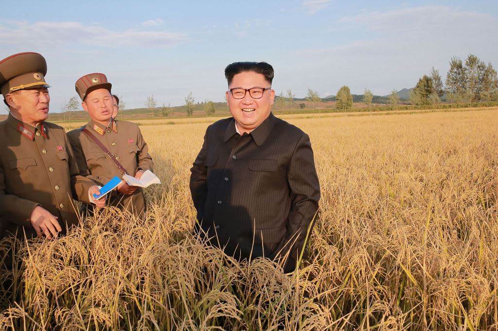 This undated picture released from North Korea's official Korean Central News Agency (KCNA) on September 30, 2017 shows North Korean leader Kim Jong-Un (C) visiting Farm No. 1116 under Korean People's Army (KPA) Unit 810 at an undisclosed location. AFP PH