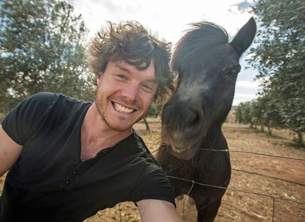 The charity World Animal Protection said in a report that Instagram has seen a 292 percent increase in wildlife selfies since 2014 around the world. Of these, more than 40 percent involved humans 