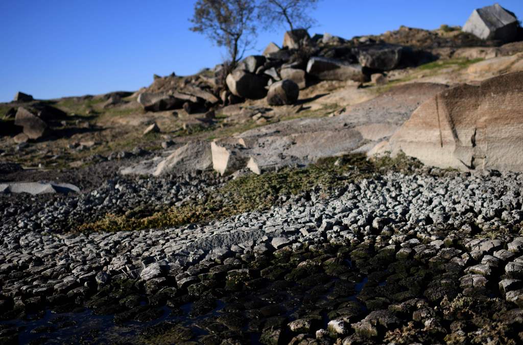 A photo of a dry pond is seen at Antonio Granadeiro's property in Alpalhao, Alentejo, central Portugal, on November 17, 2017. / AFP / FRANCISCO LEONG