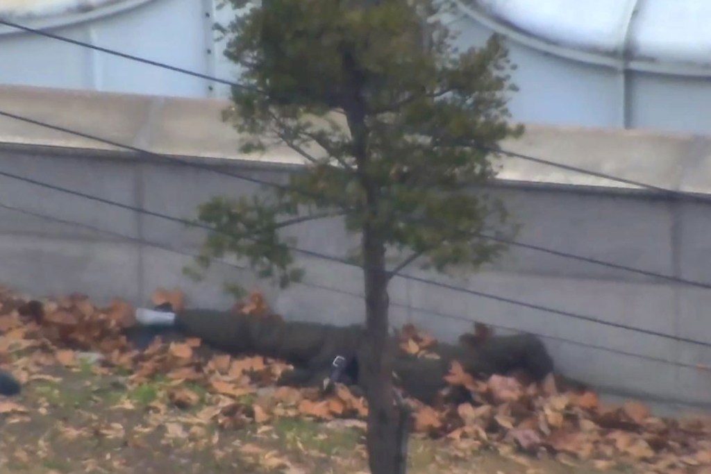 A screengrab taken from a video footage released by the United Nations Command on November 22, 2017 shows a North Korea defector lying on the ground after getting shot at by North Korean soldiers in the Joint Security Area of the Demilitarized Zone (DMZ).