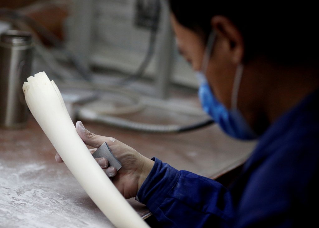 FILE PHOTO: A man checks a tusk at an ivory workshop in Beijing, China, March 31, 2017. REUTERS/Thomas Peter/File Photo.