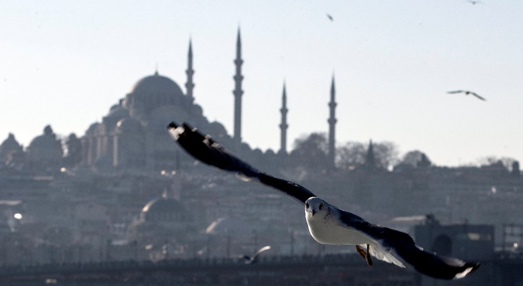 A seagull flies over the Golden Horn over Bosphorus with the Suleymaniye Mosque in the background, in Istanbul, Turkey, 17 January 2018. EPA/SEDAT SUNA