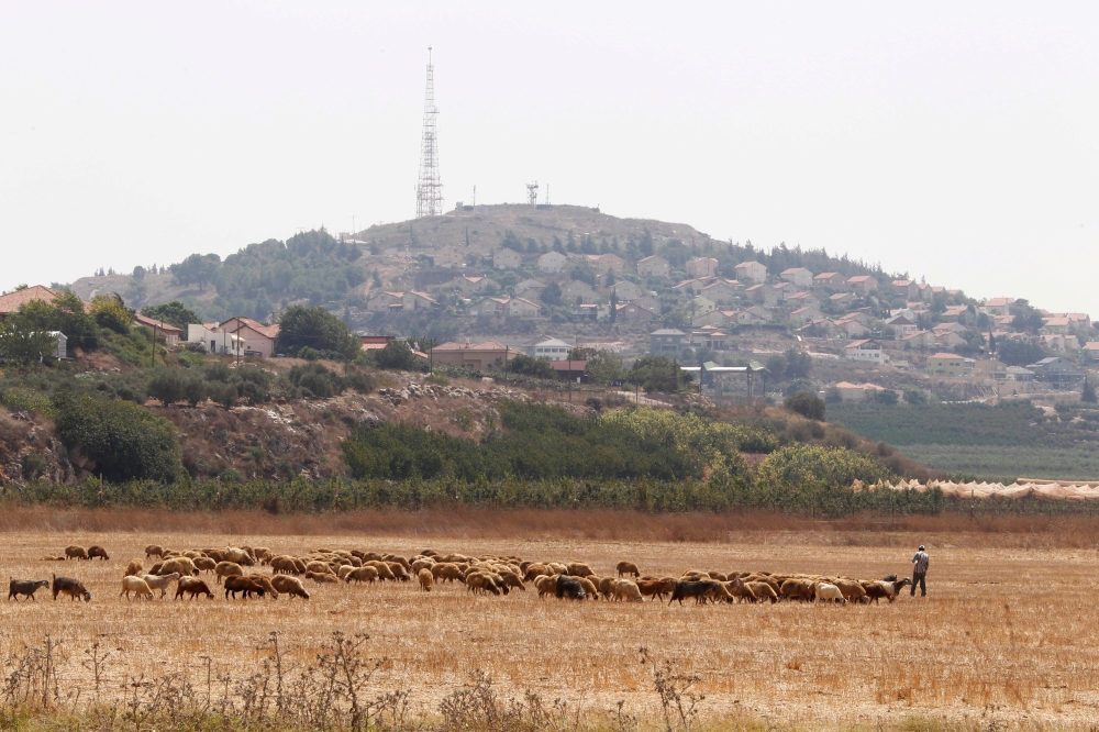 A herd of sheep graze near the Lebanese-Israeli border in Kfar Kila village, southern Lebanon August 24, 2015. Reuters/Aziz Taher