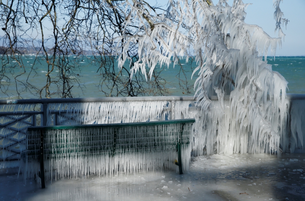 Ice is pictured on a barrier and a tree during a windy winter day near Lake Leman in Geneva, Switzerland, February 26, 2018. REUTERS/Denis Balibouse	