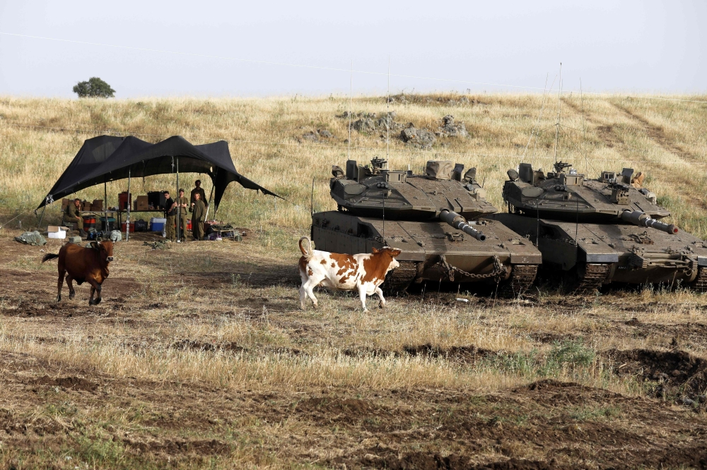 Merkava Mark IV tanks are deployed next to cows near the Syrian border in the Israel-annexed Golan Heights on May 10, 2018. AFP / Menahem Kahana