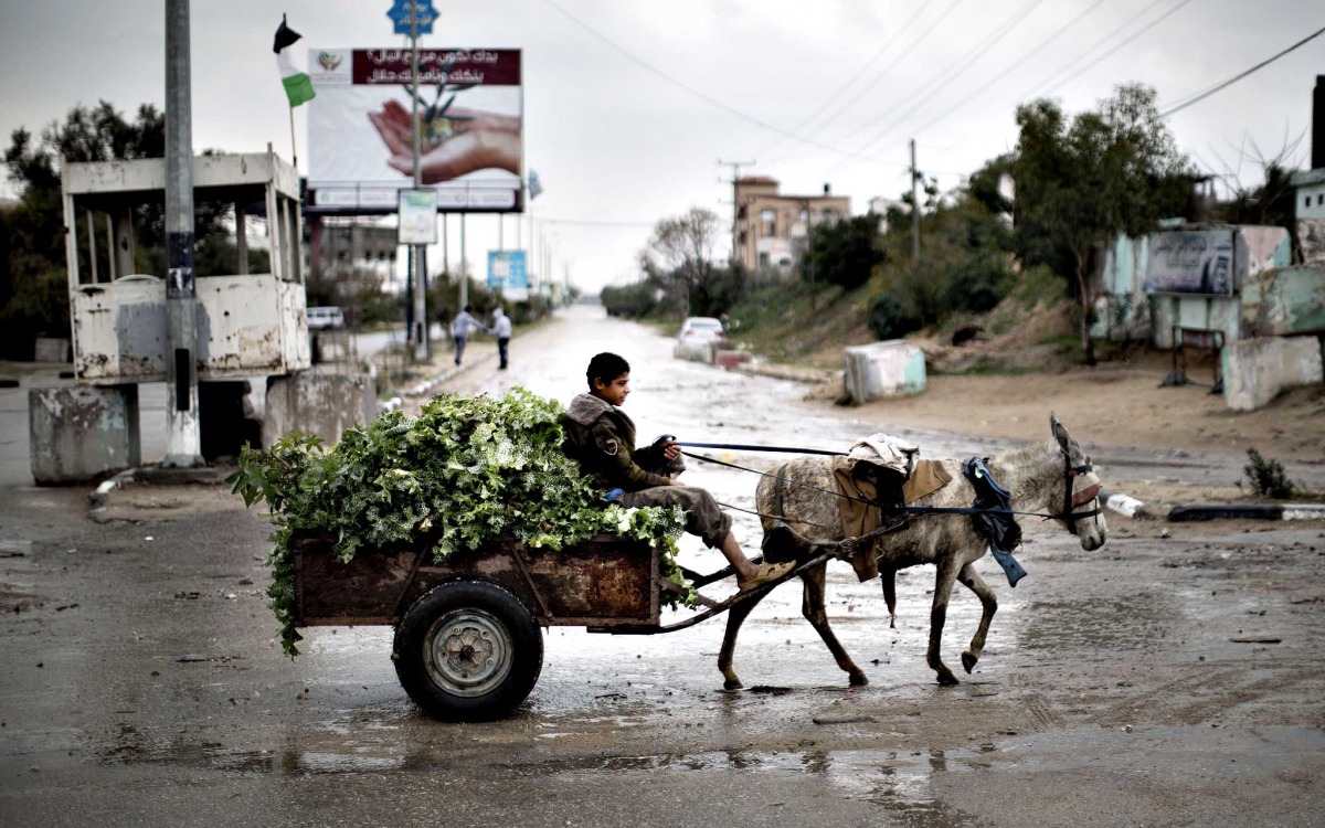 A Palestinian boy rides a donkey cart in Beit Hanun, northern Gaza Strip, (AFP file photo / Mahmud Hams) 