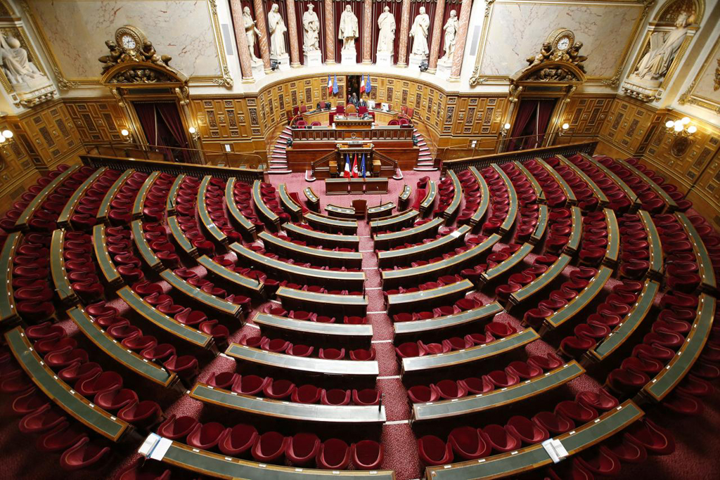File photo of a general view of the hemicycle before a session at the Senate in Paris, France, April 7, 2015. Picture taken April 7, 2015. REUTERS/Charles Platiau/File Photo