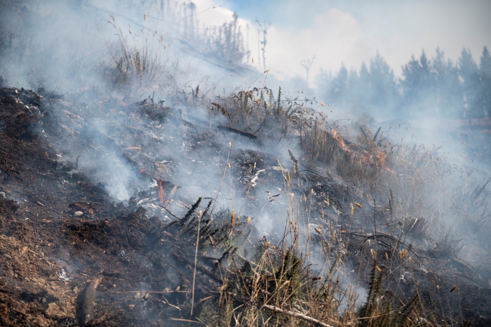 Smoke rises from the Richmond fire near Nelson, South Island, New Zealand, February 8, 2019. Chad Sharman/New Zealand Defence Force/Handout via REUTERS 