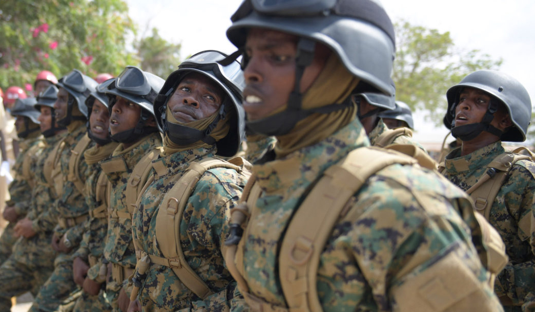 Somali National Army
