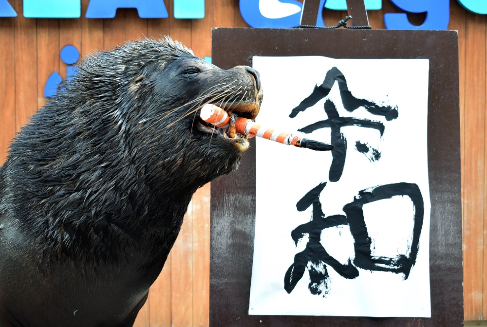 Sea lion 'Leo' poses after writing the characters for the new era name 