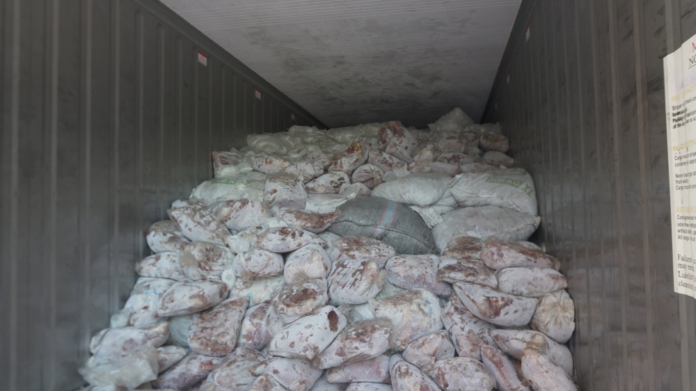 :Pangolin scales that were seized from Customs and were taken by the National Parks Board are pictured in Singapore April 3, 2019. Picture taken April 3, 2019 NATIONAL PARKS BOARD SINGAPORE/Handout via REUTERS ATTENTION EDITORS - THIS IMAGE HAS BEEN SUPPL