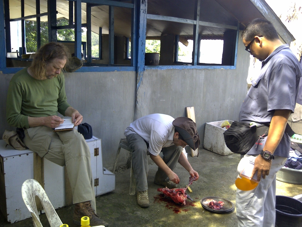 This handout file photo released by Tawi-Tawi police on February 3, 2012, bird watchers Swiss Lorenzo Vinciguerra (C), Dutchman Ewold Horn (L), and Filipino guide Ivan Sarenas (R) prepare their meal in Tawi-Tawi prior to their abduction.  AFP / Tawi-Tawi 