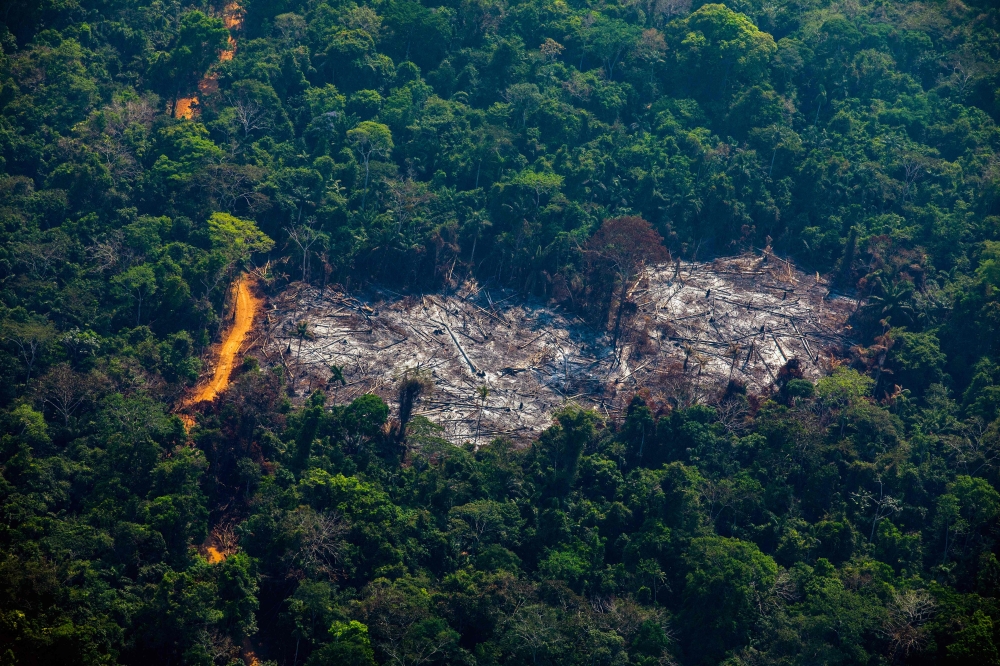 Aerial view of deforestation in the Menkragnoti Indigenous Territory in Altamira, Para state, Brazil, in the Amazon basin, on August 28, 2019. / AFP / Joao Laet 