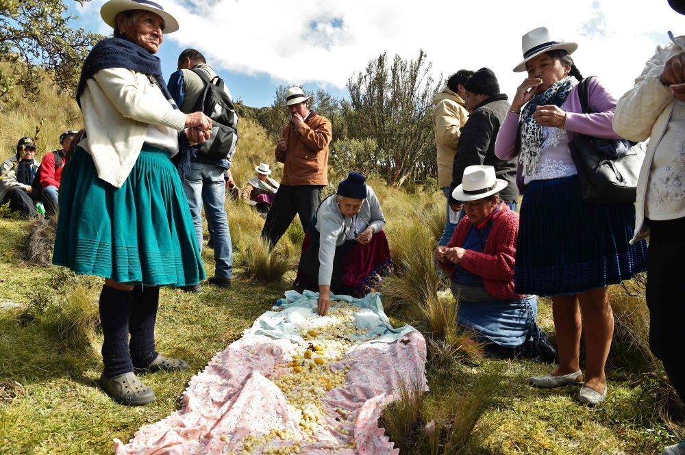 Ecuadorean indigenous people share a traditional lunch in Quimsacocha, Azuay province, Ecuador, on September 2, 2019. AFP / Rodrigo Buendia
 